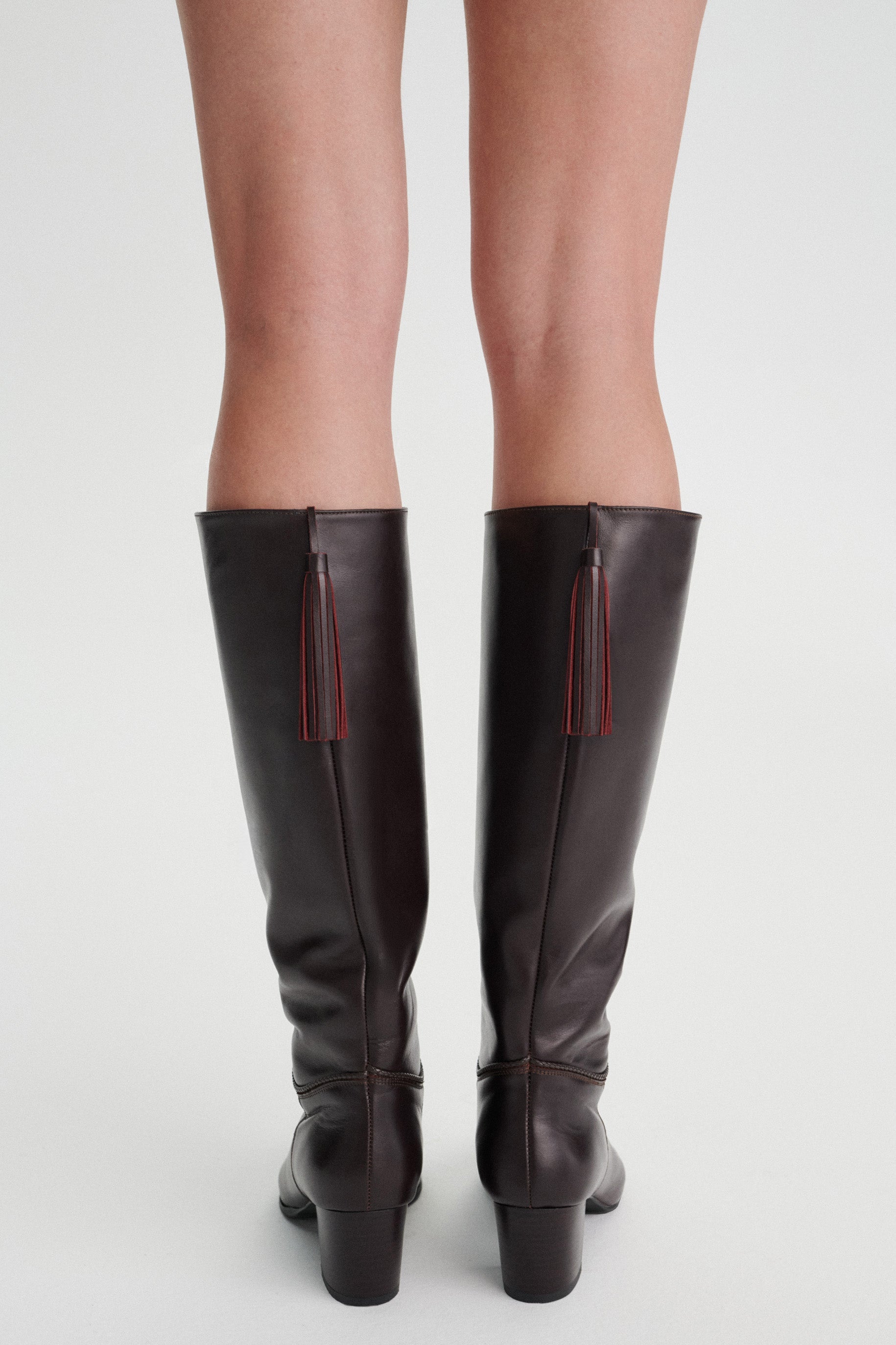 Aubin Heeled Leather Boots with Fringe